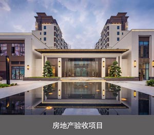 地坑式PJS簡易升降立體停車設備房地產驗收項目